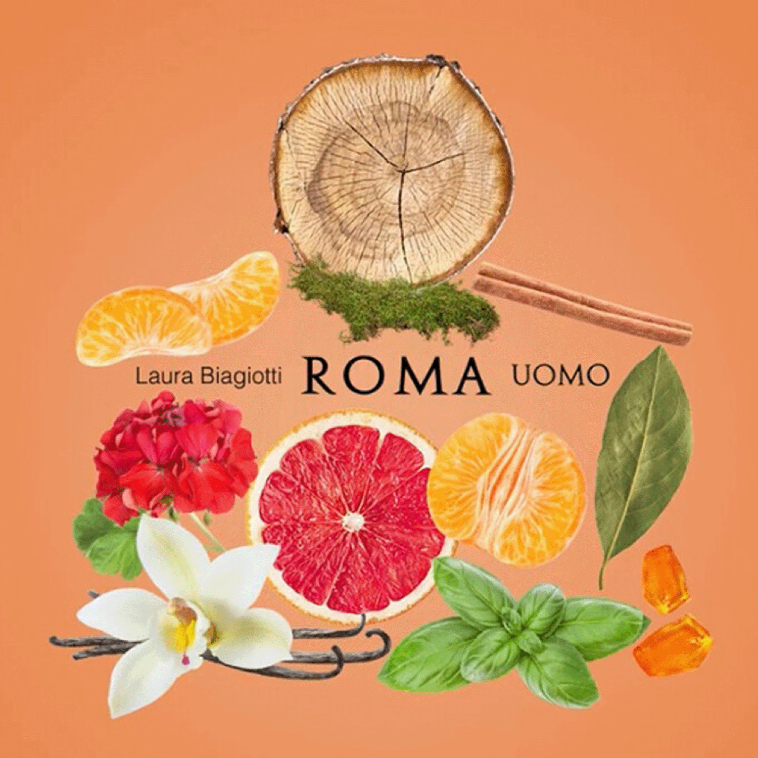 Laura Biagiotti Roma Uomo Eau de Toilette 40ml