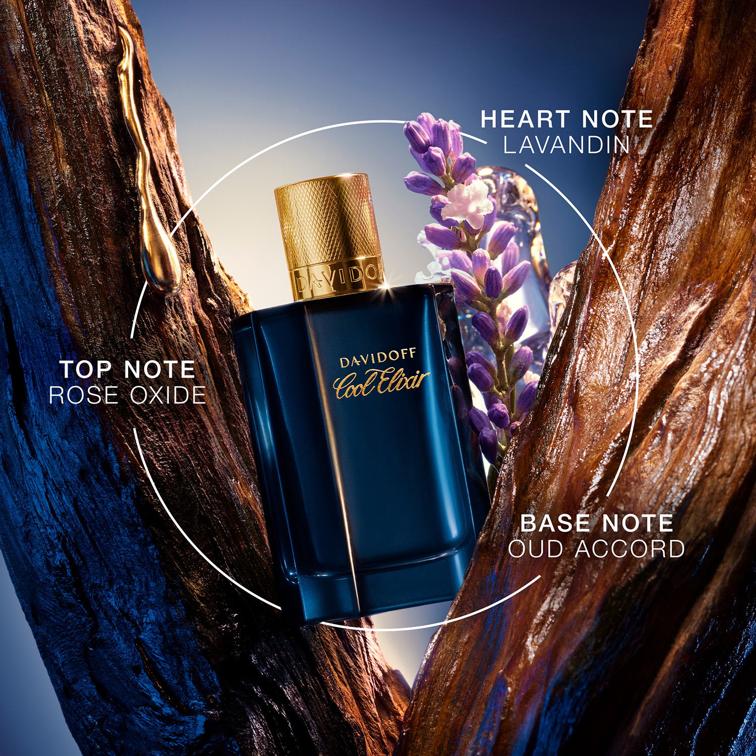 Davidoff Cool Elixir for Men Eau de Parfum Intense 30ml