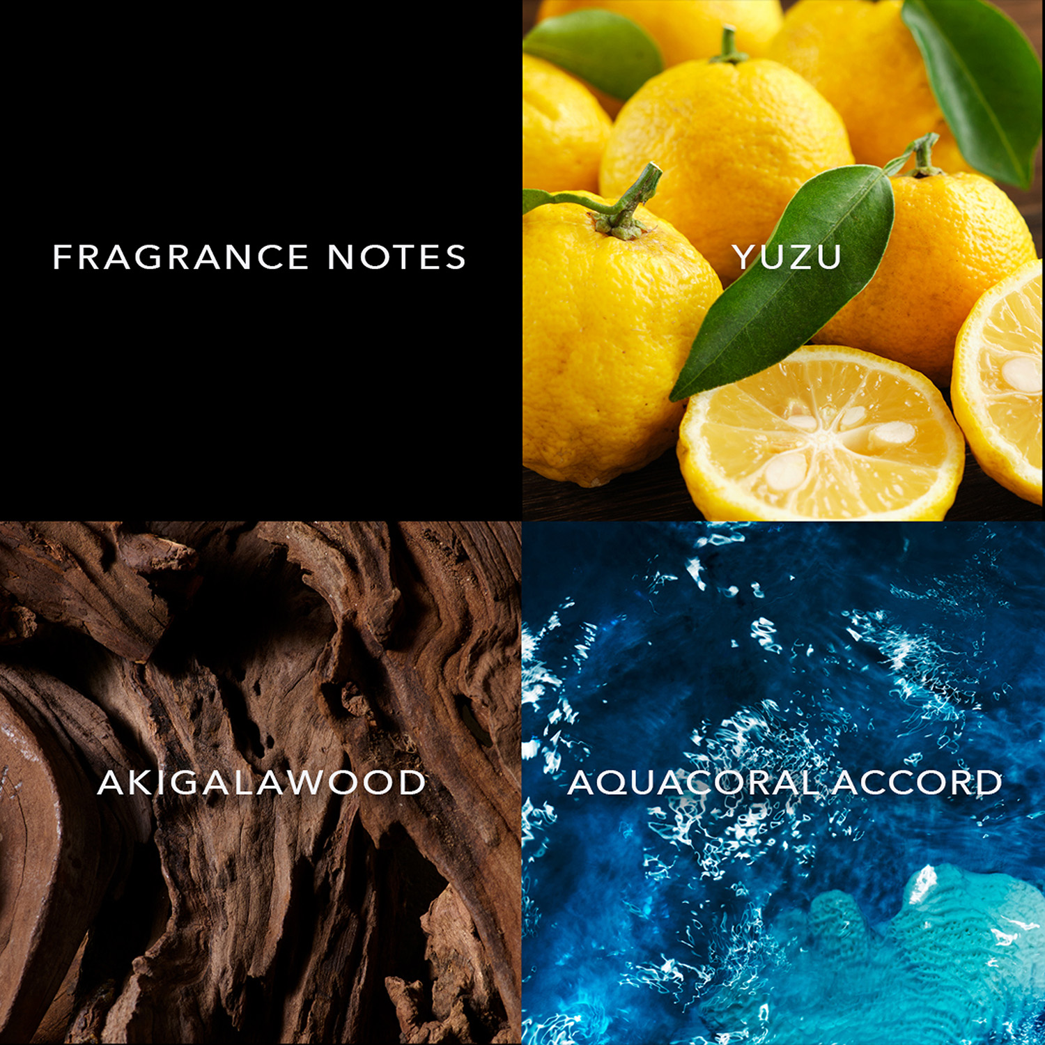 John Varvatos Artisan Costiero Eau de Parfum 125ml