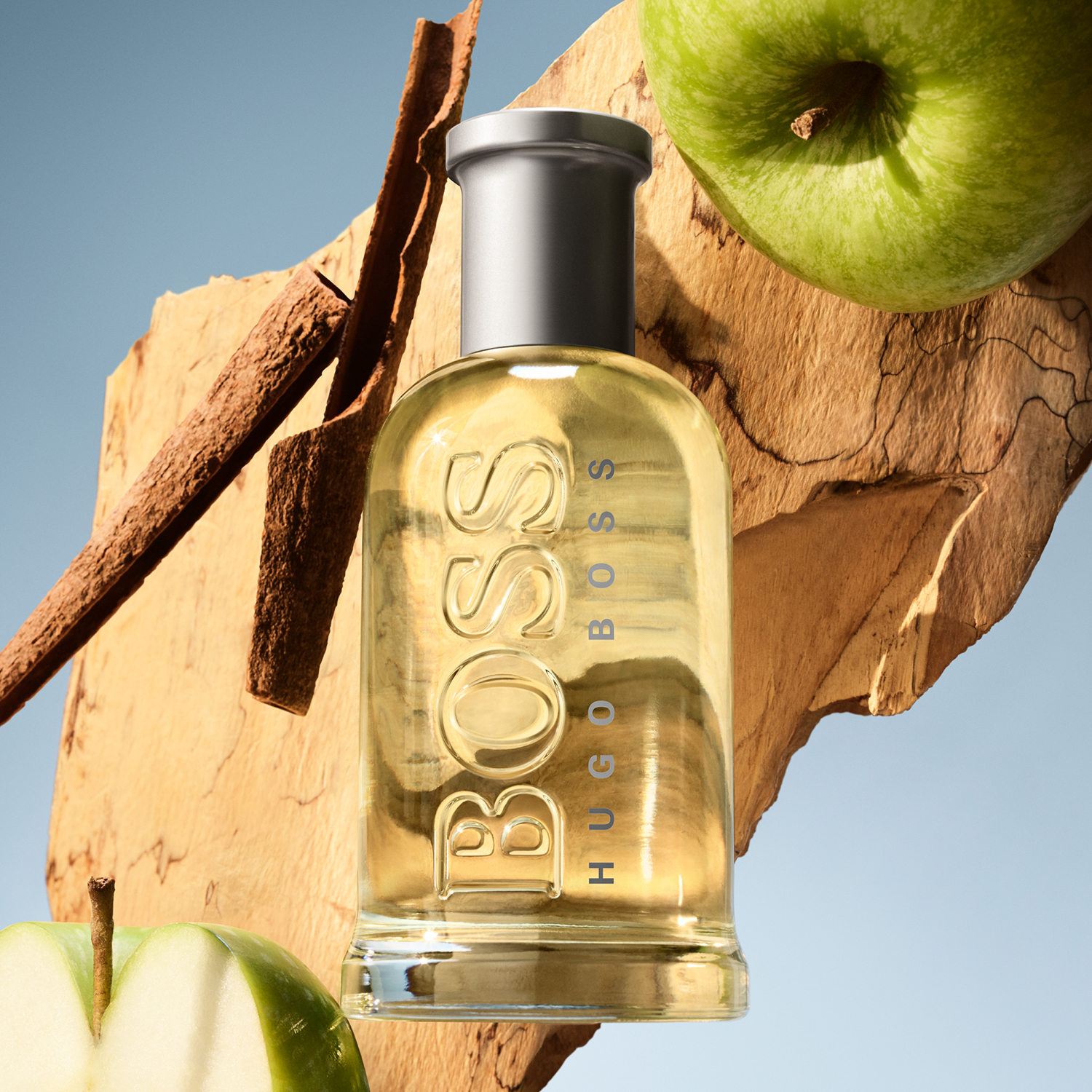 Hugo Boss Bottled Eau de Toilette 100ml