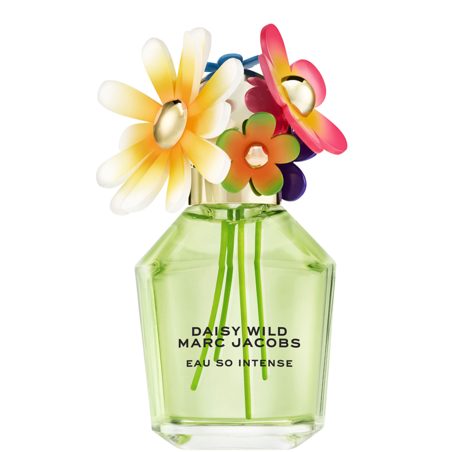 Marc Jacobs Daisy Wild Eau So Intense Eau de Parfum 100ml