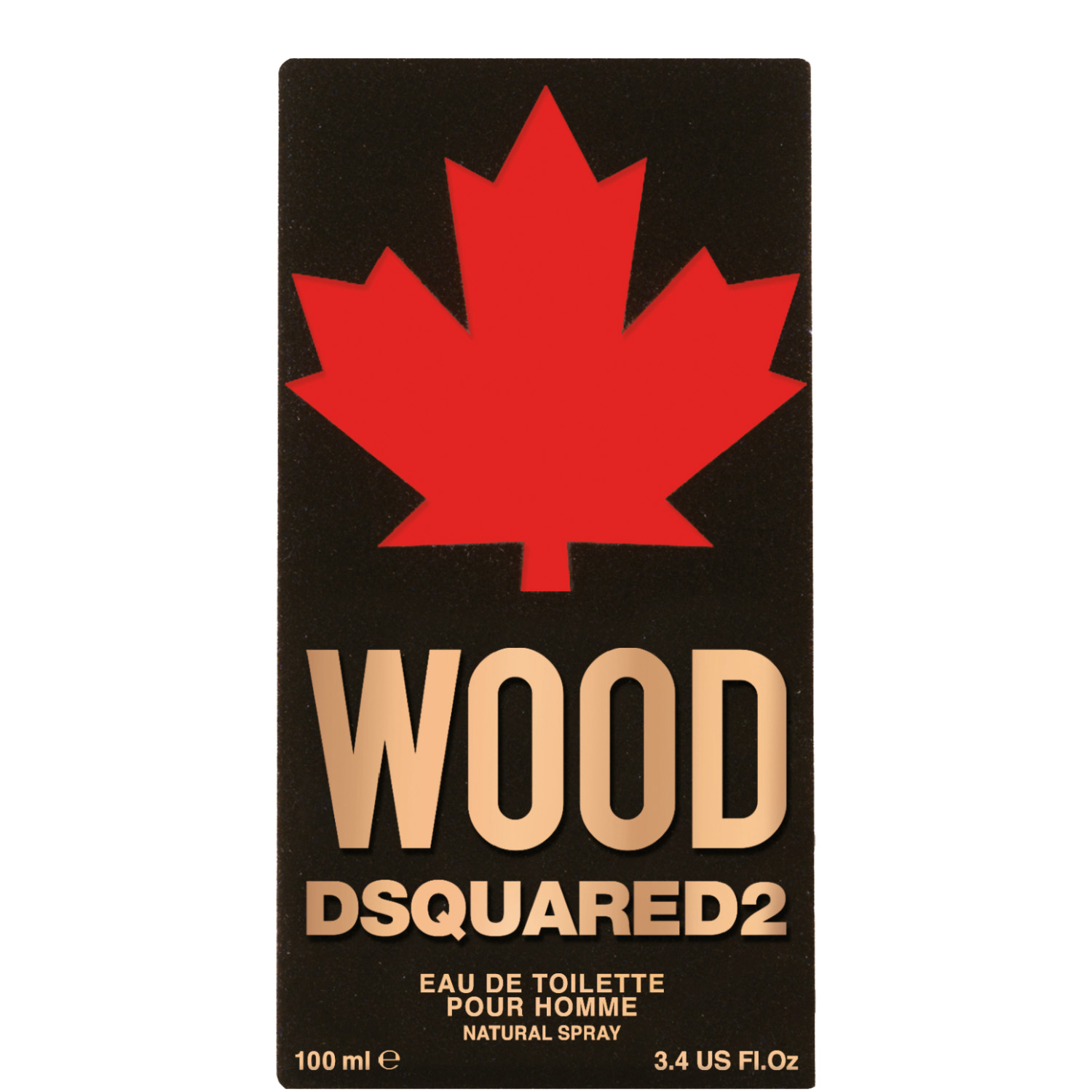 Dsquared² Wood Pour Homme Eau de Toilette 100ml