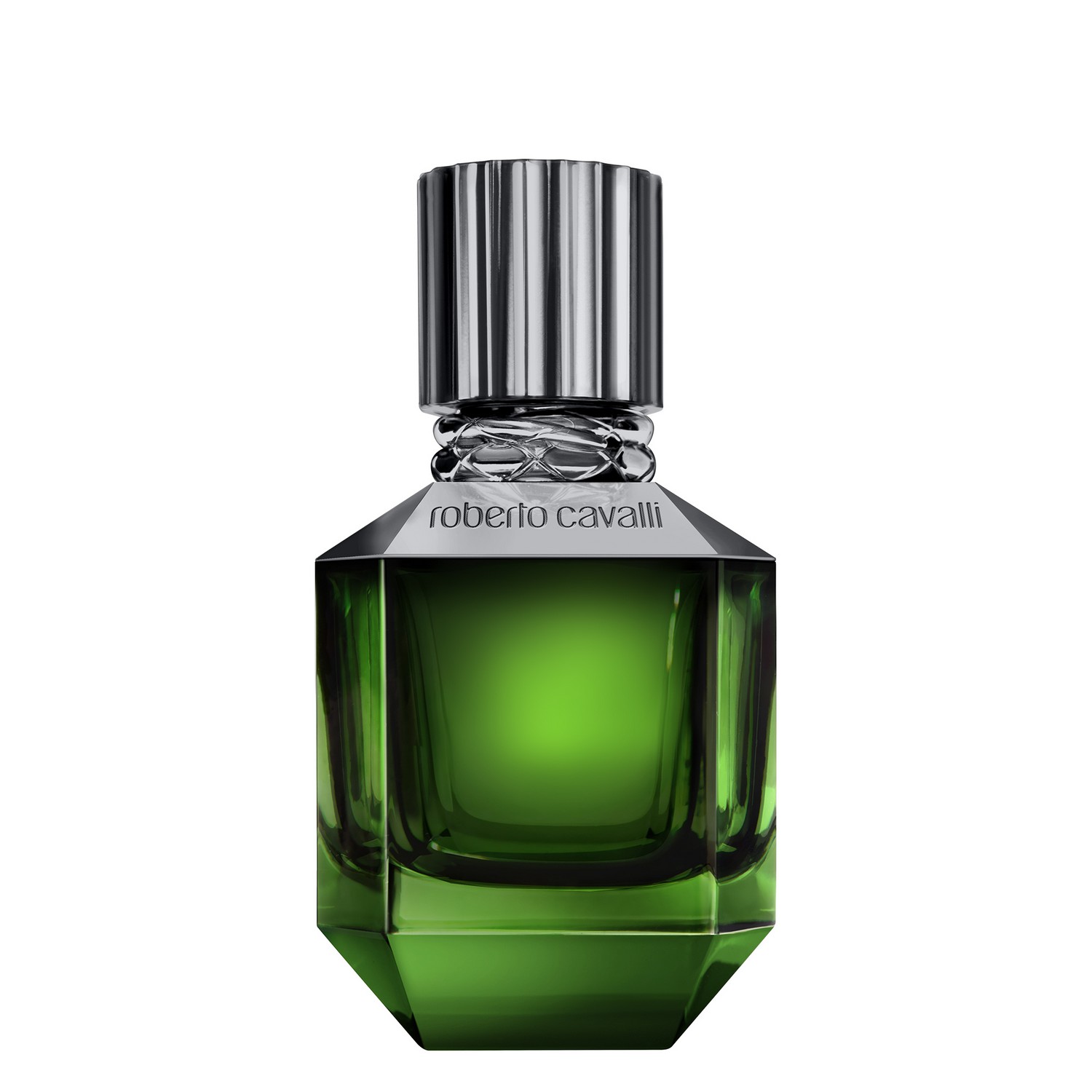 Roberto Cavalli Paradise Found for Men Eau de Toilette