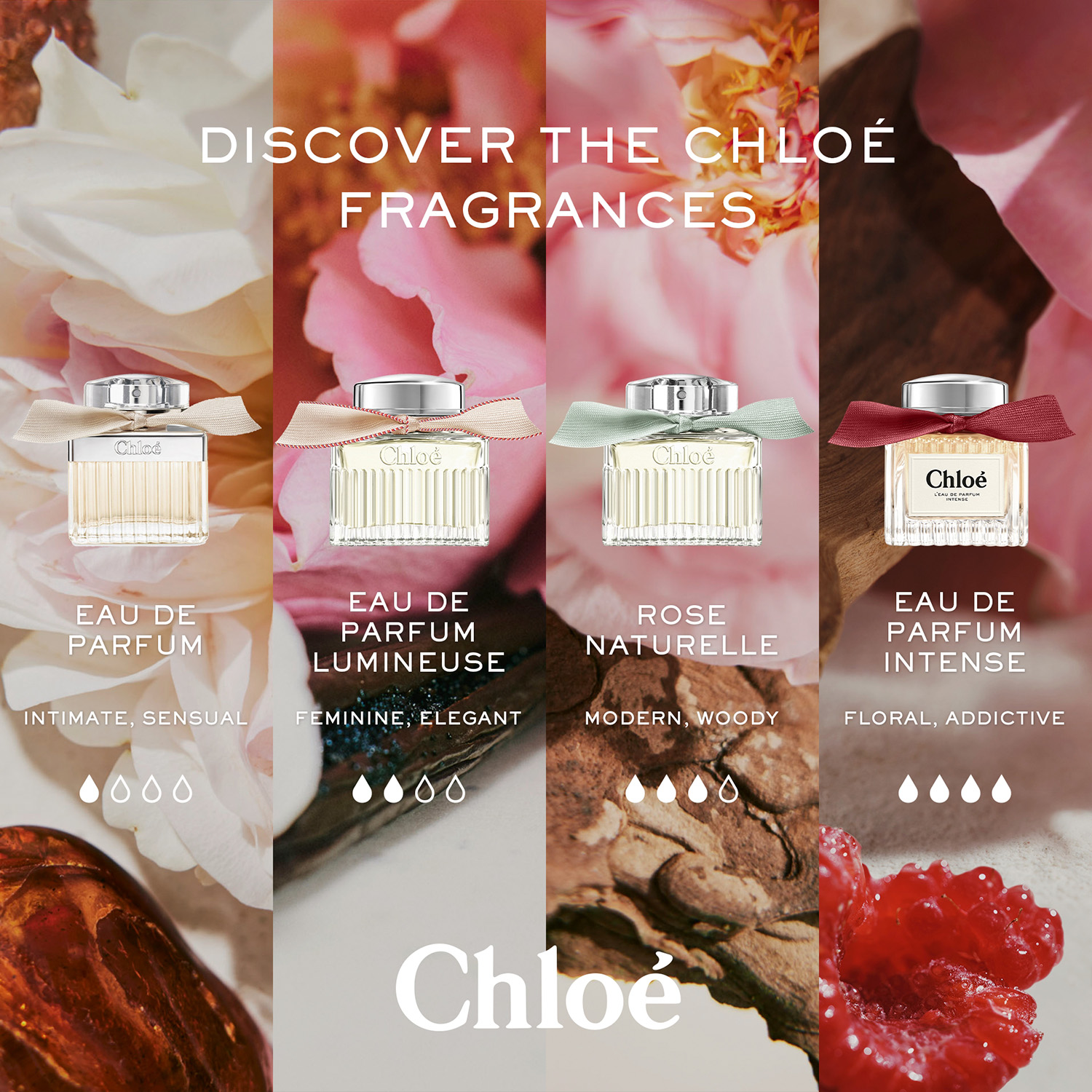 Chloe L'Eau de Parfum Intense 100ml Refillable